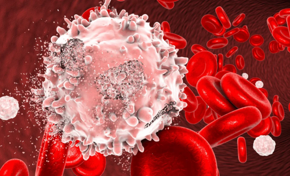 INDIA INTERNATIONAL CLINICAL HAEMATOLOGY EXPO 2025 - Chandigarh